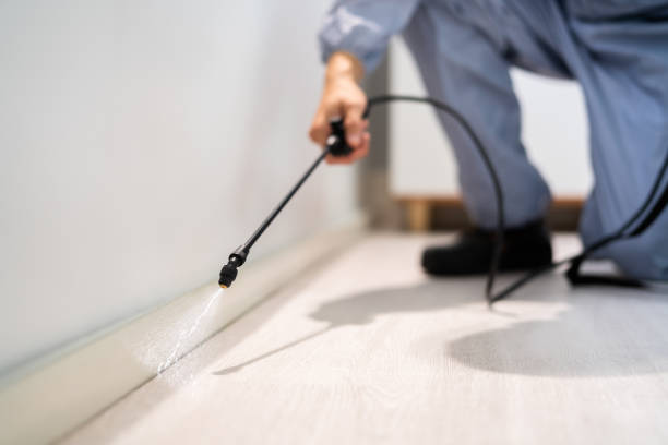 Bed Bug Pre-Treatment Preparation Assessment in Mound Bayou