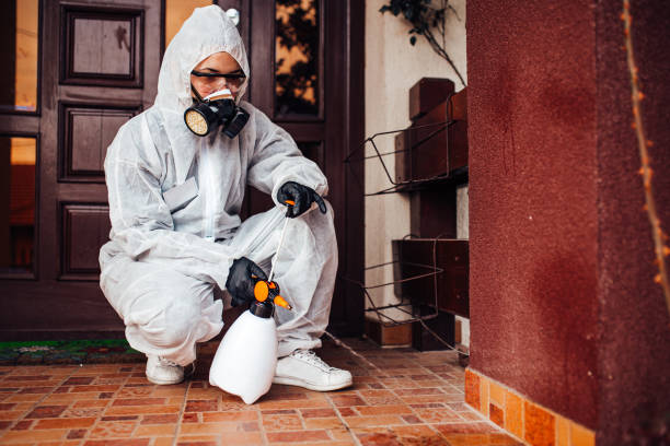 Multi-Unit and Airbnb Bed Bug Protocol in Mound Bayou