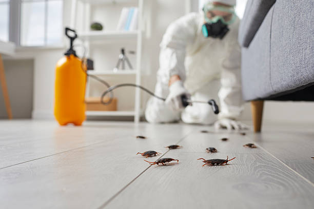 Post-Treatment Bed Bug Interceptor Monitoring in Mound Bayou