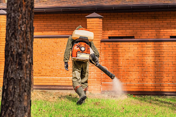Bed Bug Clearance Verification and Documentation in Mound Bayou